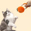 Pet Kitten Toys