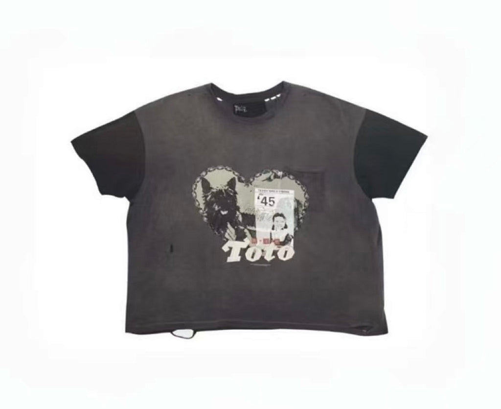 Paly Hollywood Collage Dog Graphic Cropped T-Shirt