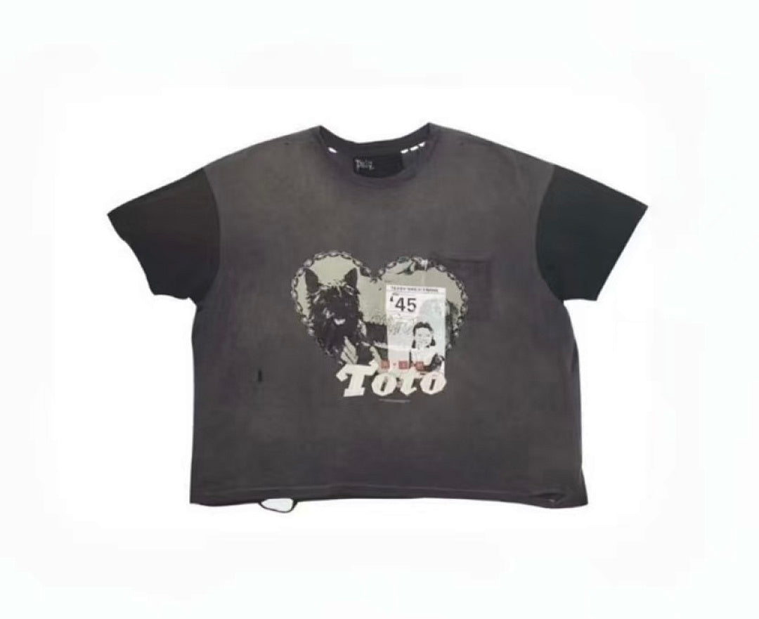 Paly Hollywood Collage Dog Graphic Cropped T-Shirt