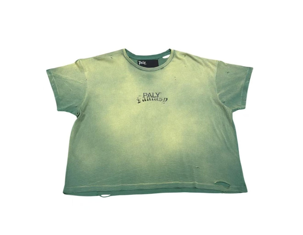 Paly Hollywood Paly Classics Distressed Cropped T-Shirt