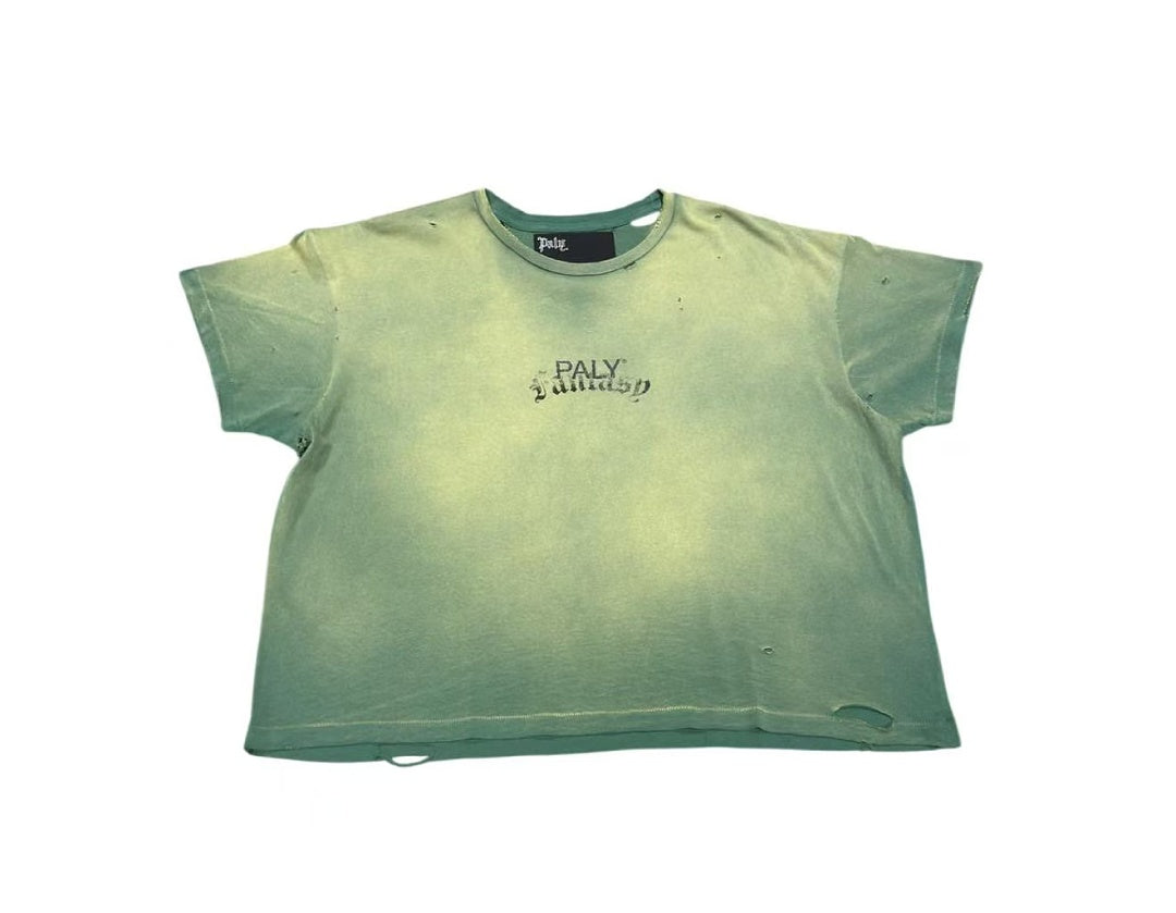 Paly Hollywood Paly Classics Distressed Cropped T-Shirt