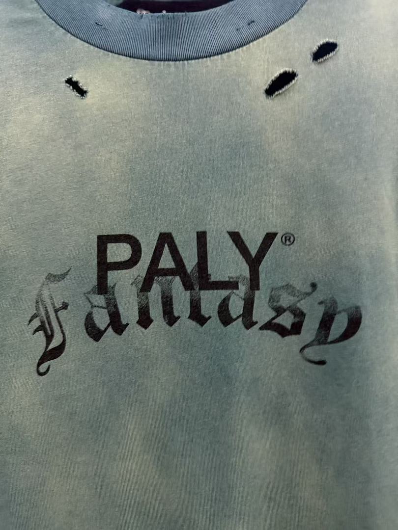 Paly Hollywood Paly Classics Distressed Cropped T-Shirt