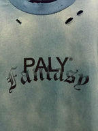 Paly Hollywood Paly Classics Distressed Cropped T-Shirt
