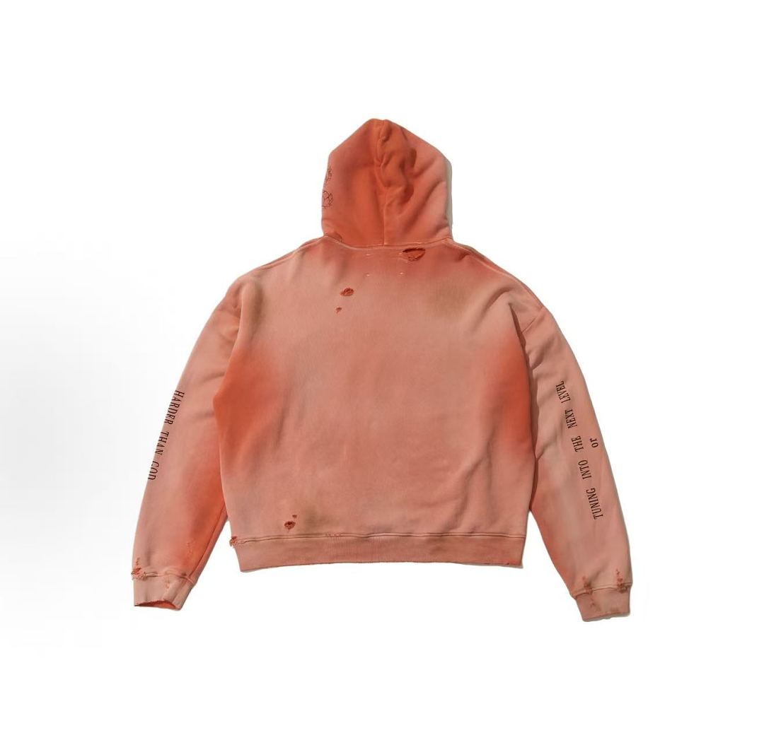 Paly Hollywood Truth and Wisdom Graphic Hoodie
