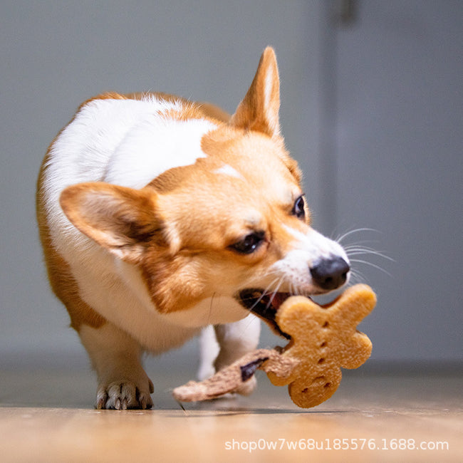 Gigwi Is A Dog Toy Film Elephant Main Image