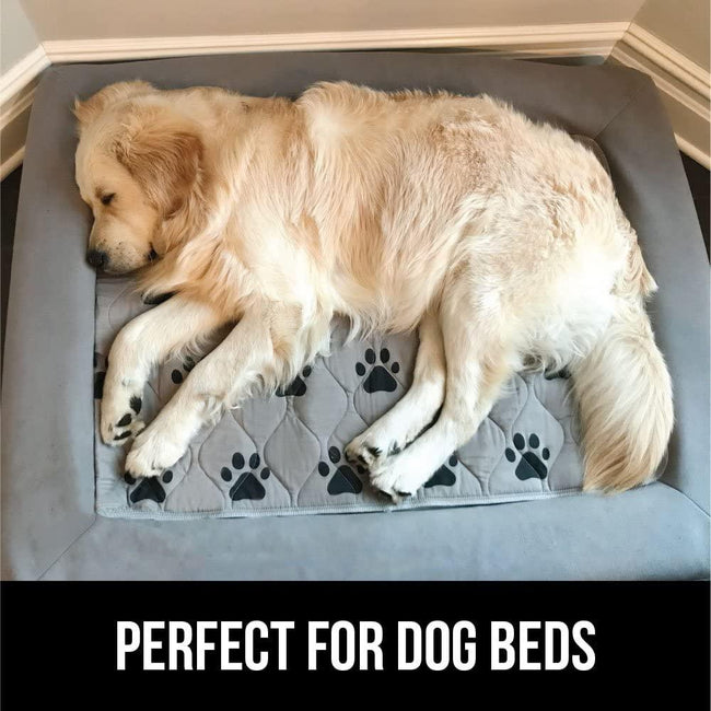 Mr. Peanut's Washable Reusable Pee Pads - Set of 3 - Thermal Waterproof and Leakproof Pet Carrier Comfort Mat - Available in 2 Sizes Main Image