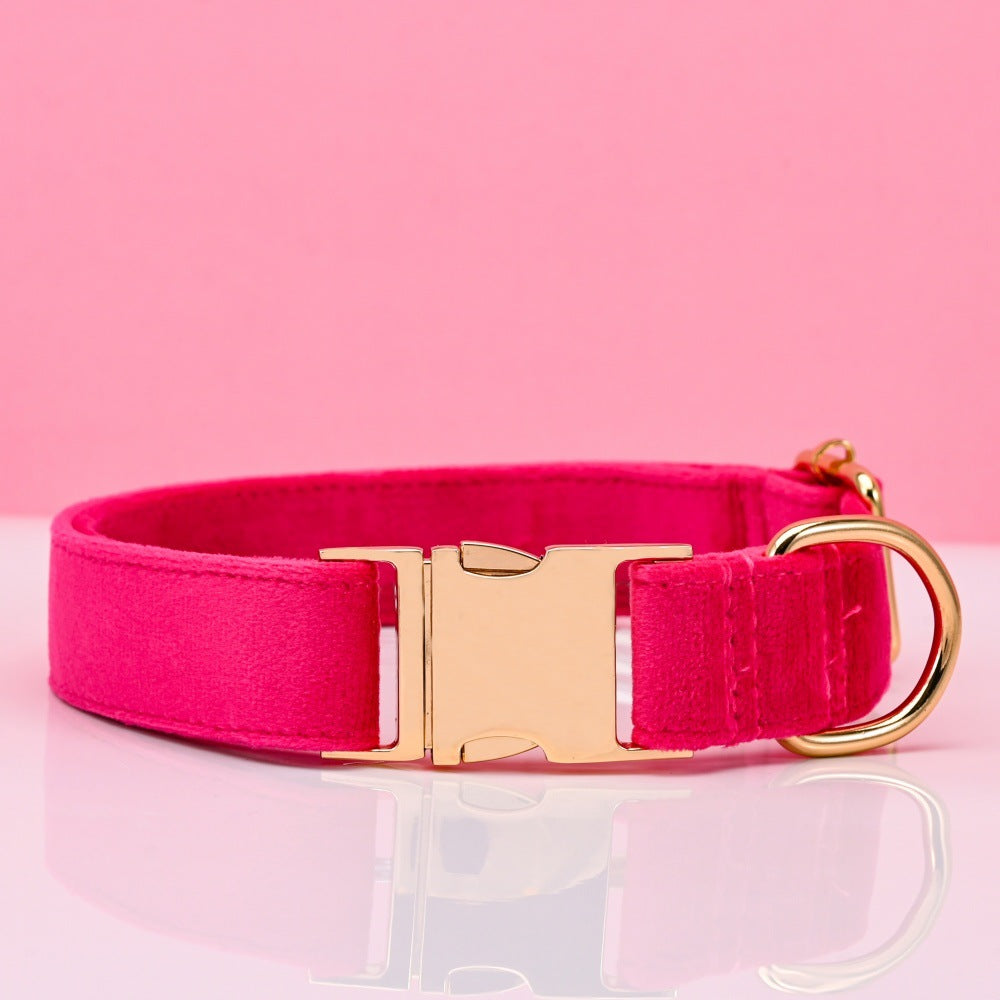 Pet Dog Collar New