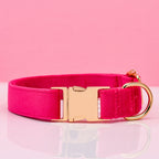 Pet Dog Collar New