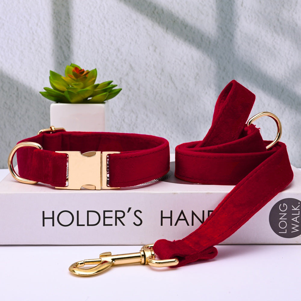 Pet Dog Collar New