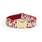 Printed Leash Pet Collar