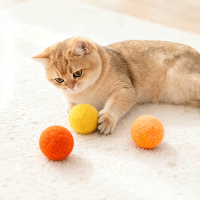Parji Wool Ball Cat Toy Chases And Plays Hover Image