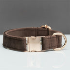 Pet Dog Collar New