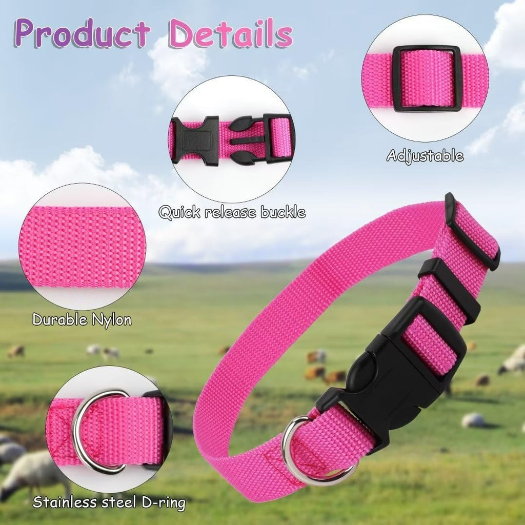 5-Color Goat Collar Bulk