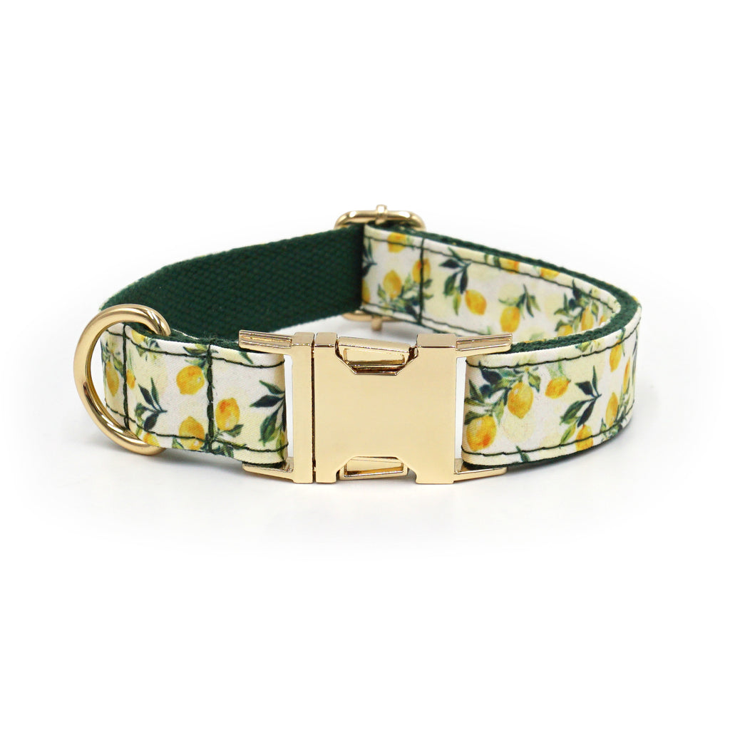 Printed Leash Pet Collar