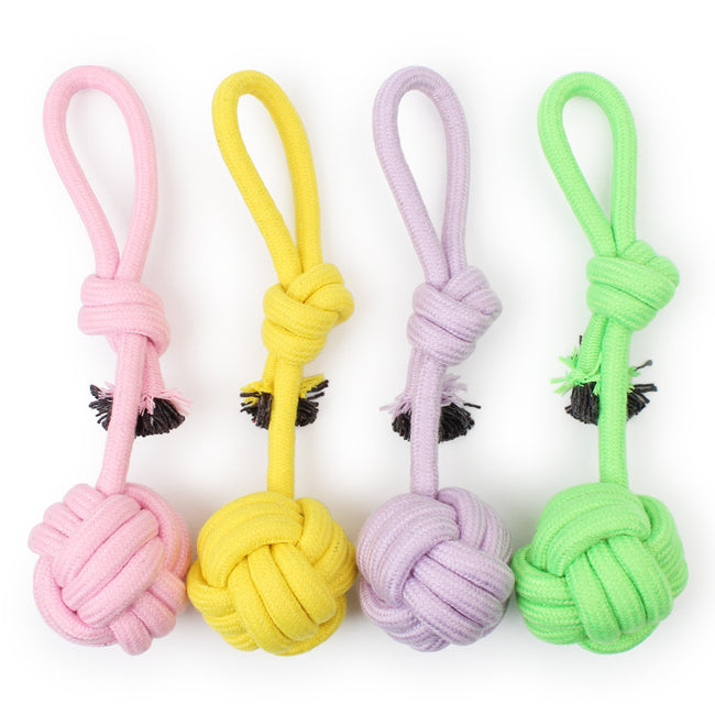 Pet Supplies Factory Main Image