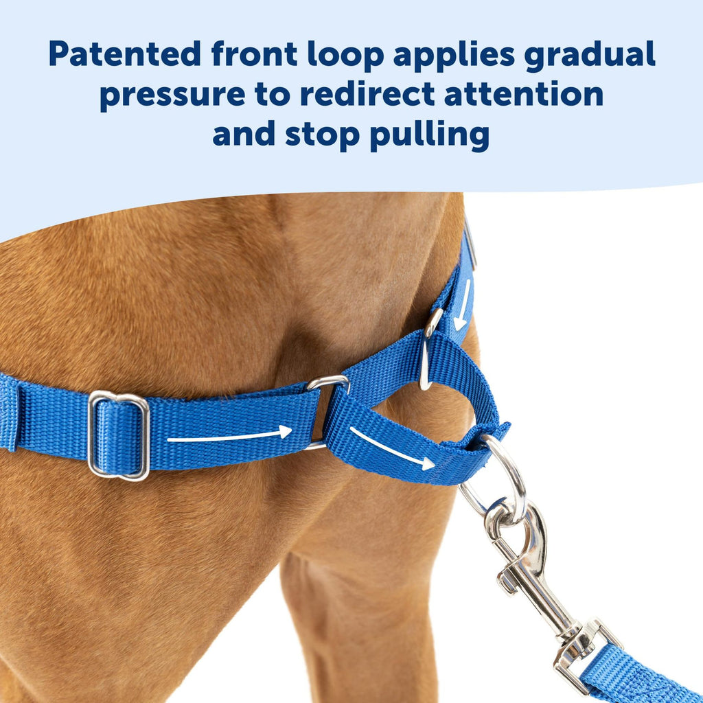 Hot-Selling Dog Harness