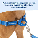 Hot-Selling Dog Harness