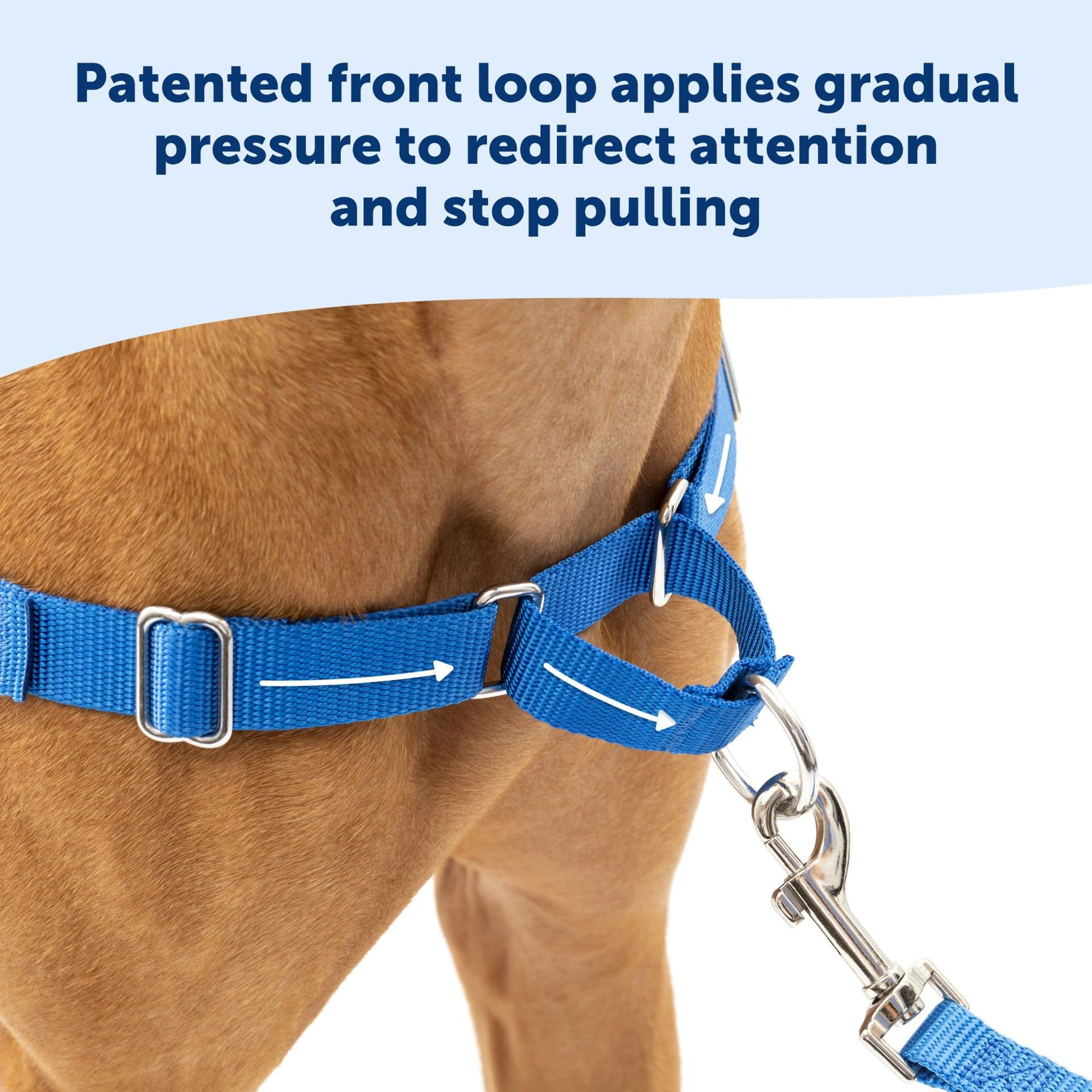 Hot-Selling Dog Harness