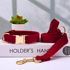 Pet Dog Collar New