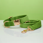 Pet Dog Collar New