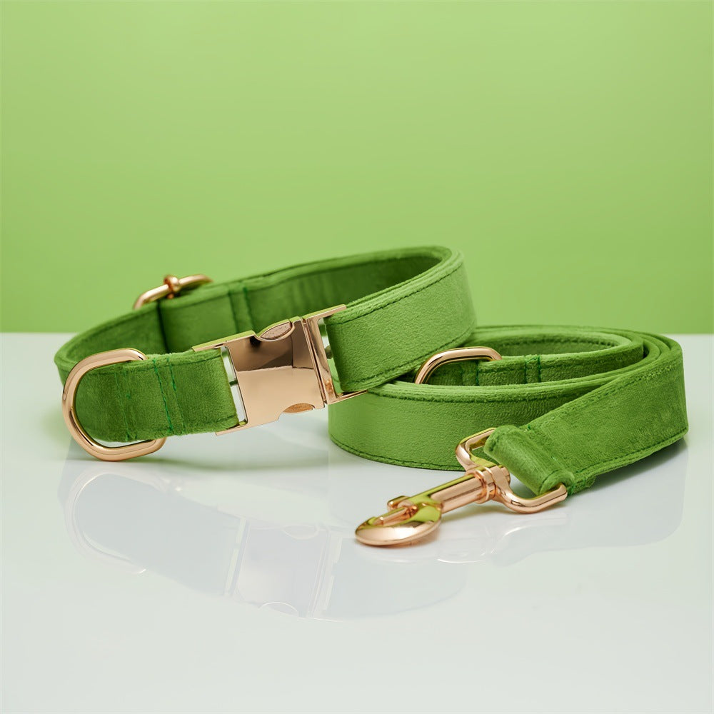 Pet Dog Collar New