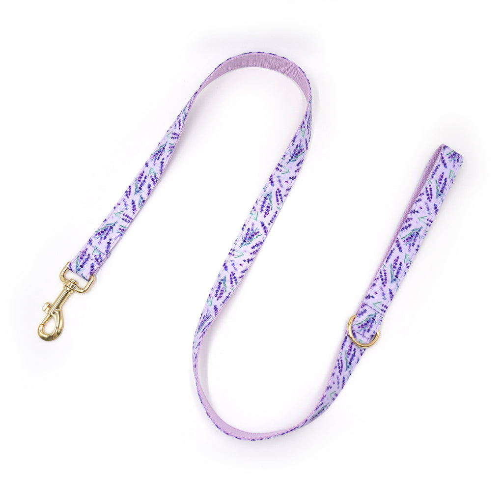 Printed Leash Pet Collar