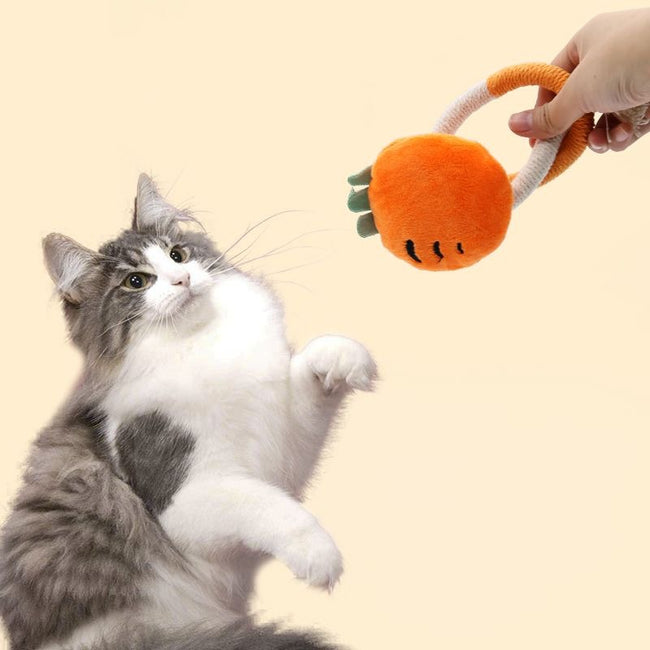 Pet Kitten Toys Hover Image