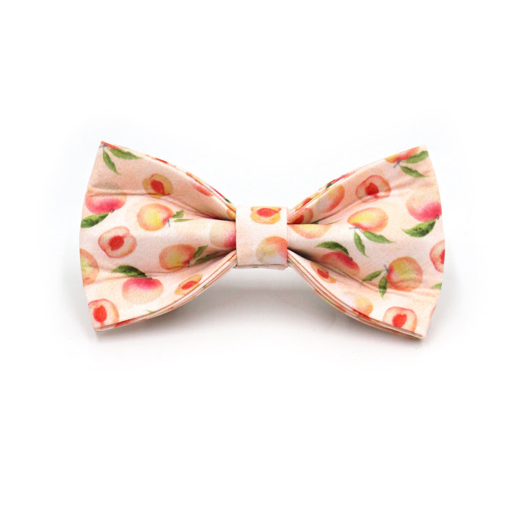 Printed Leash Pet Collar