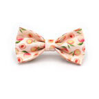 Printed Leash Pet Collar