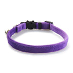 New Pet Supplies