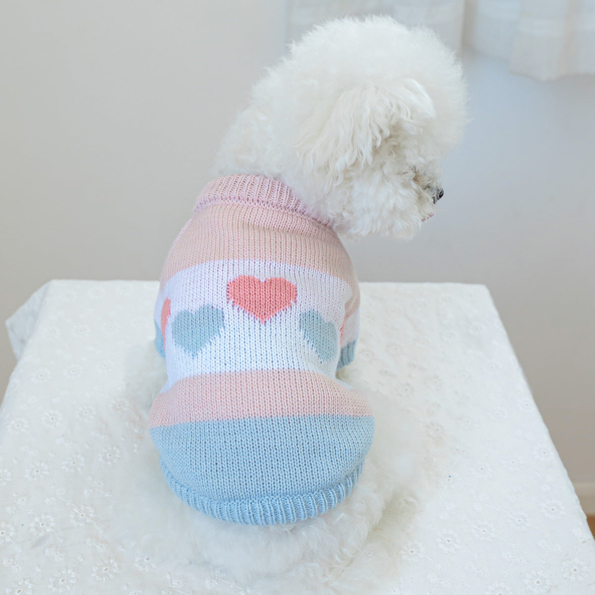 Petcircle Pet Clothing
