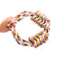 Pet Dog Toy