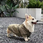 Pet Trendy Brand Windproof Jacket For Dogs