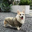 Pet Trendy Brand Windproof Jacket For Dogs