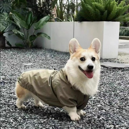 Pet Trendy Brand Windproof Jacket For Dogs Hover Image