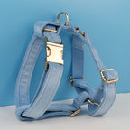 Sky Blue Dog Collar Leash Harness