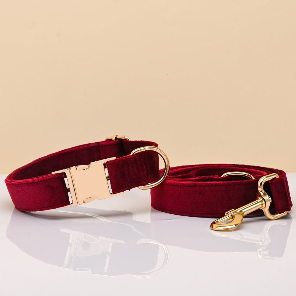 Pet Dog Collar New