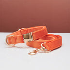 Pet Dog Collar New