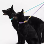 Double Leash With Leash For Puppies To Go Out