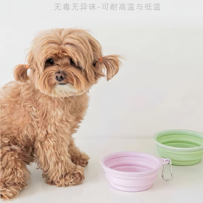 Pet Outing Folding Bowl Main Image