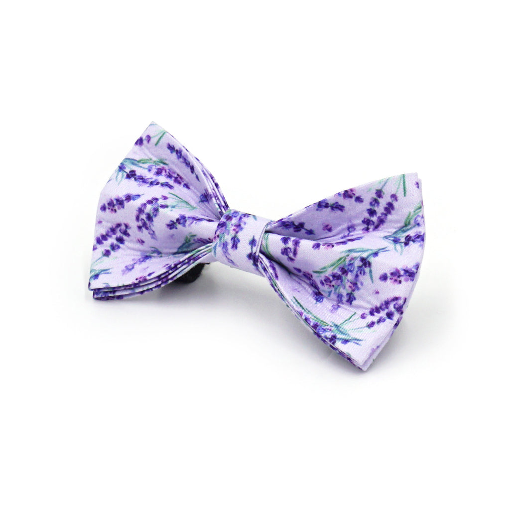 Printed Leash Pet Collar