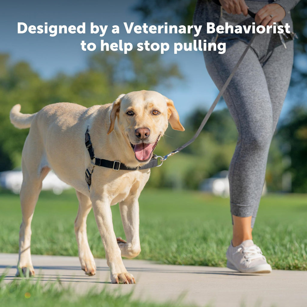 Hot-Selling Dog Harness