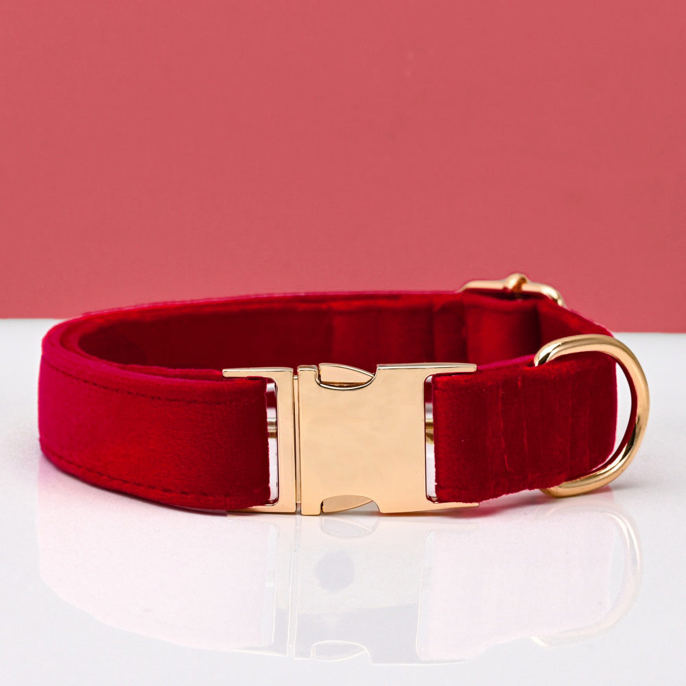 Pet Dog Collar New