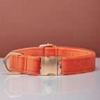 Pet Dog Collar New