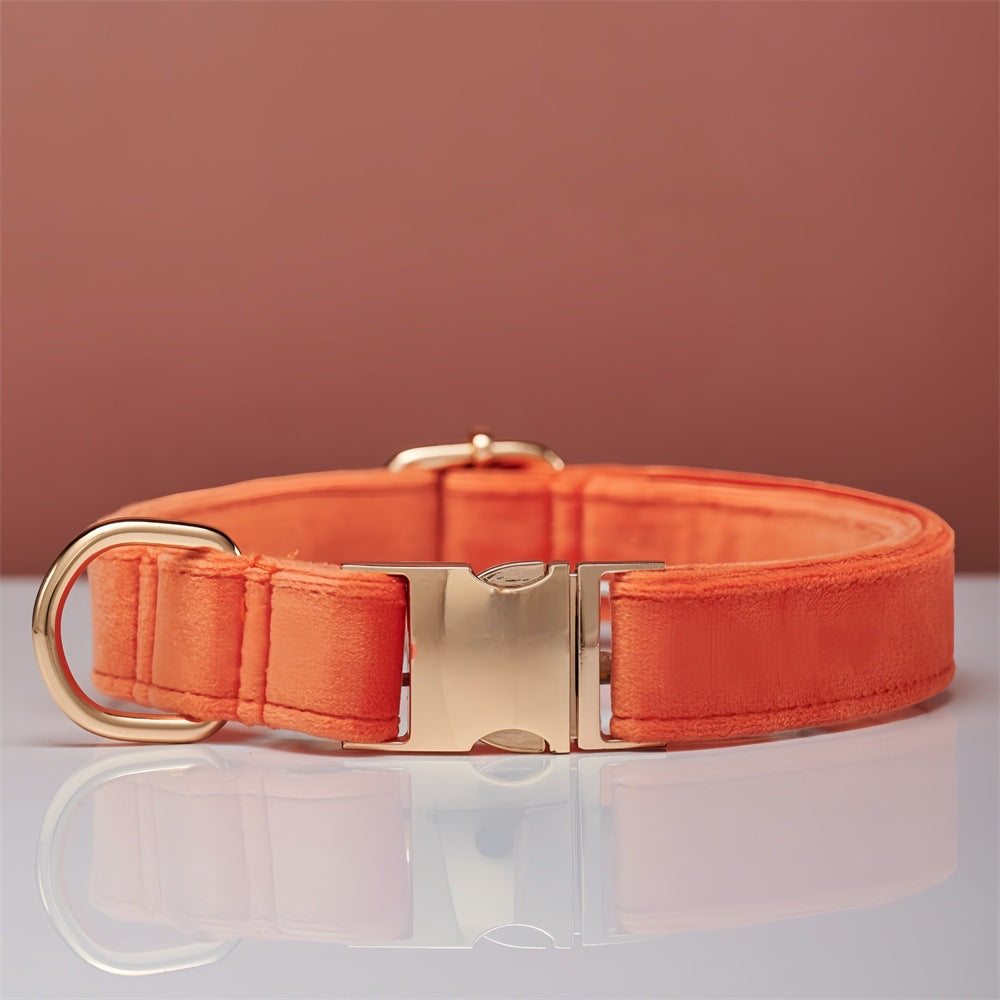 Pet Dog Collar New