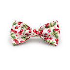 Printed Leash Pet Collar