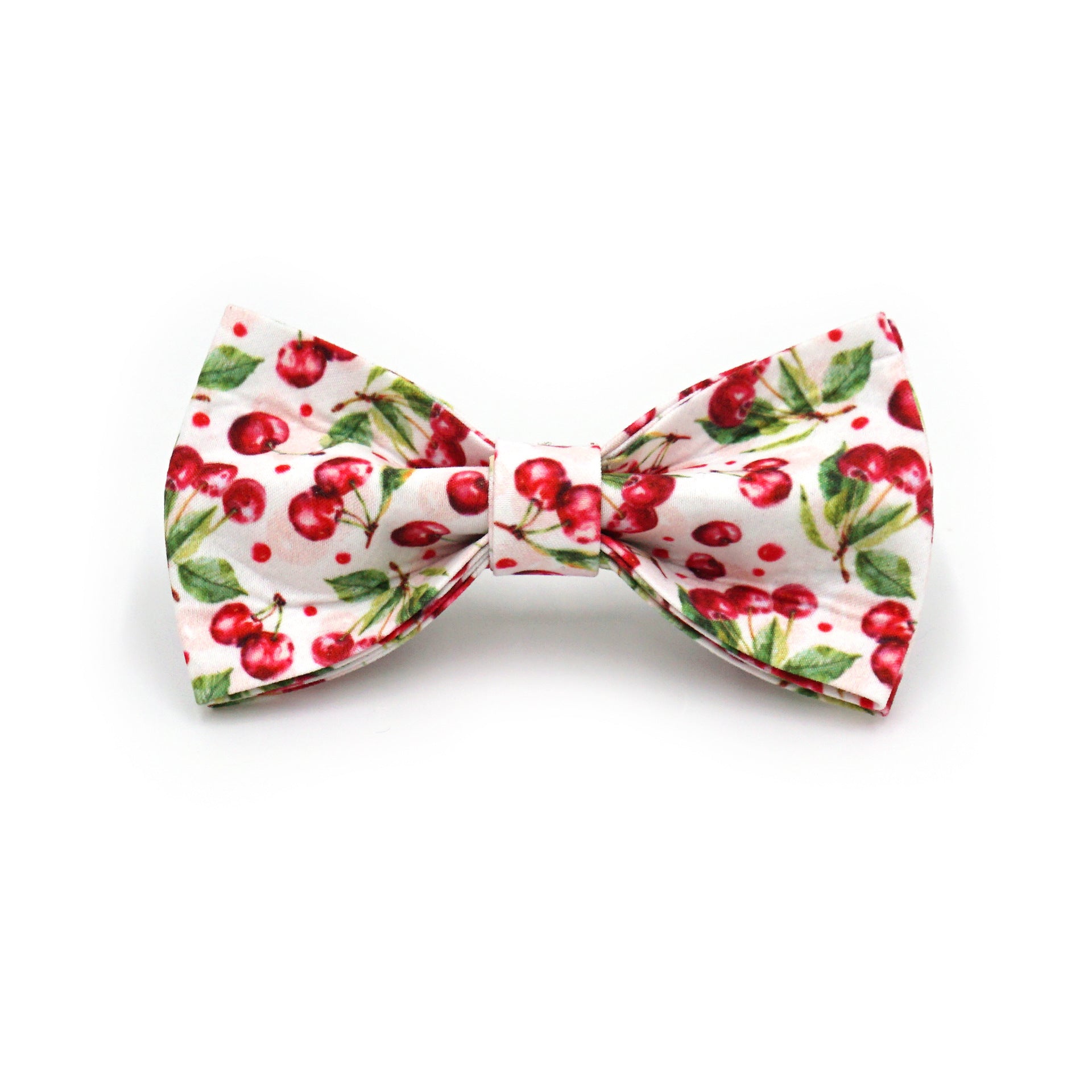 Printed Leash Pet Collar
