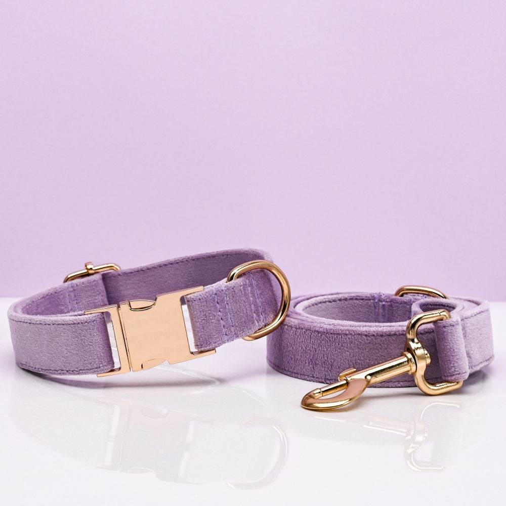 Pet Dog Collar New