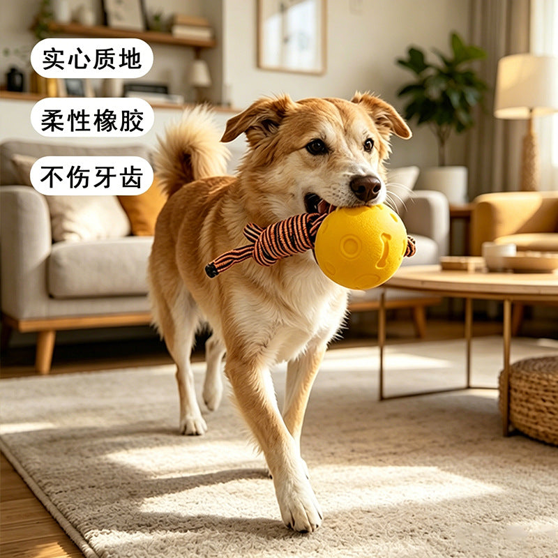 Pet Toy Ball Training Ball