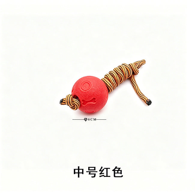 Pet Toy Ball Training Ball Main Image